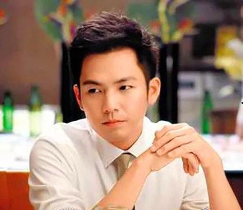 娱乐爆料 钟汉良,揭秘明星背后的故事  第2张